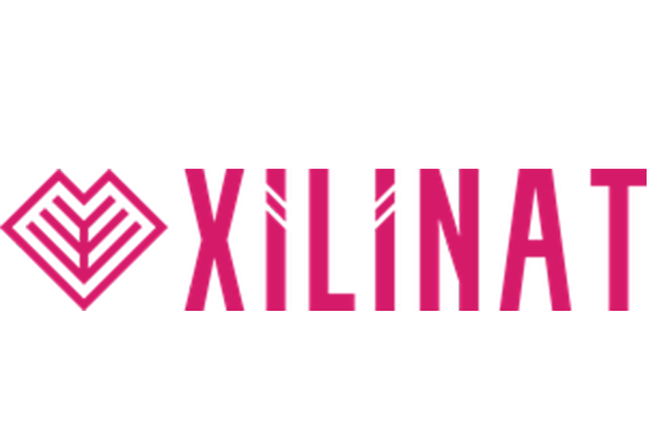 Startup-logo-Xilinat
