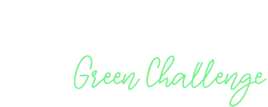 heineken-logo-color