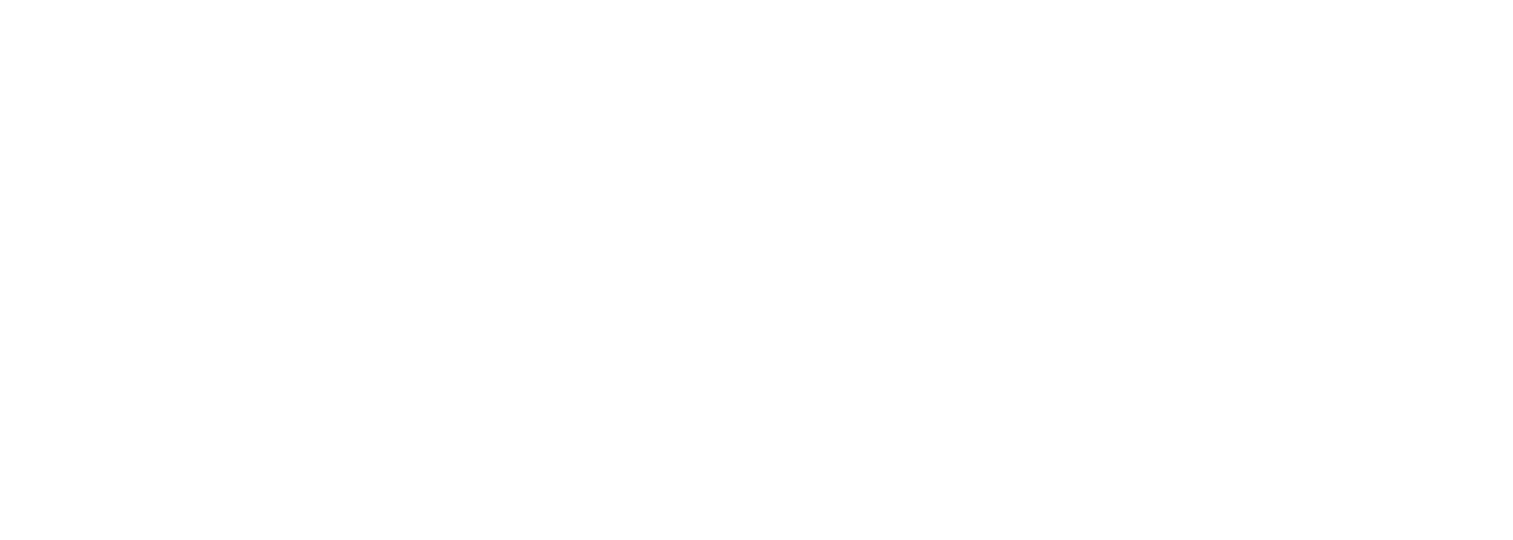 CONECTAlogoblanco