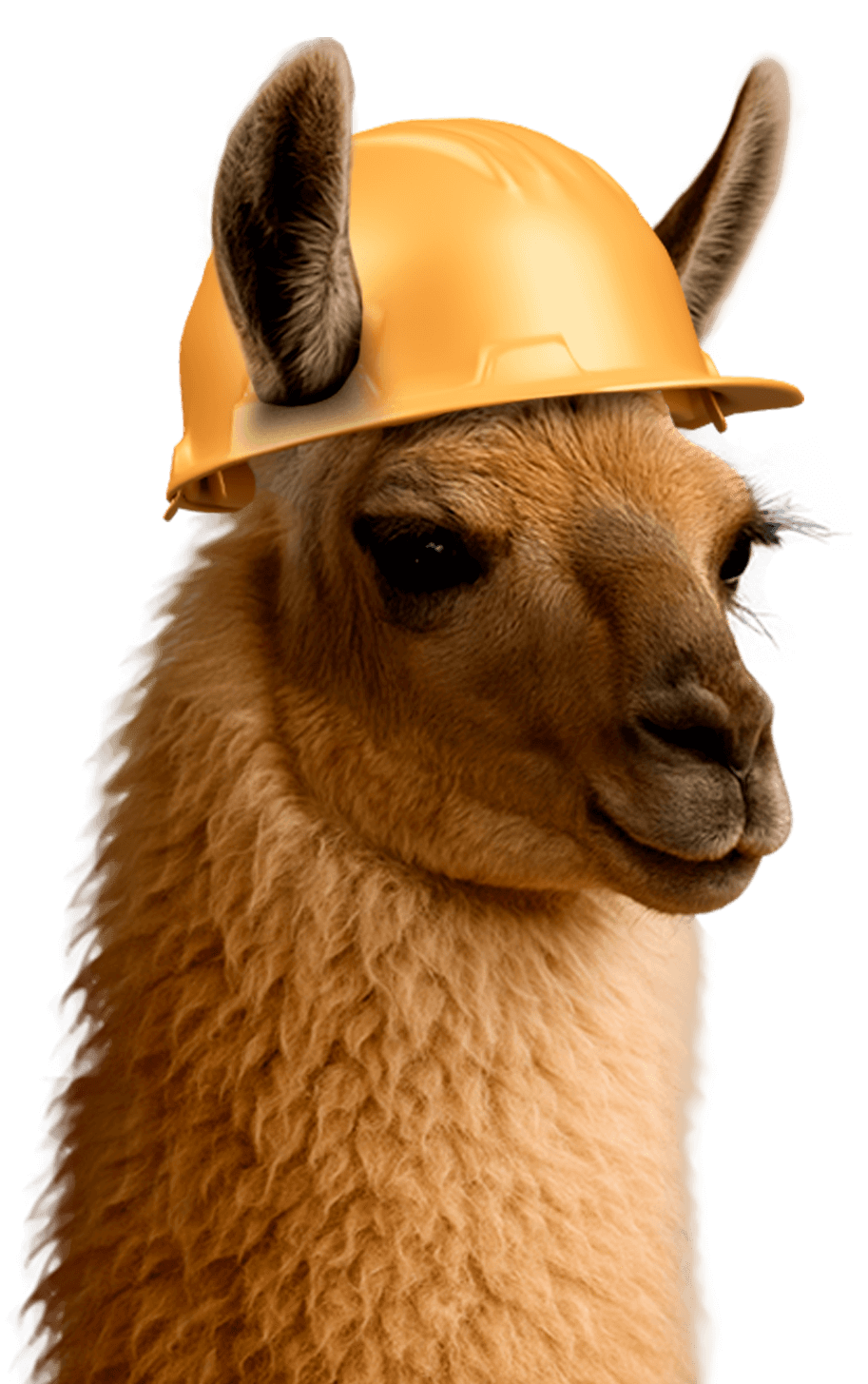 llama-incmty-meta-potencIAMX