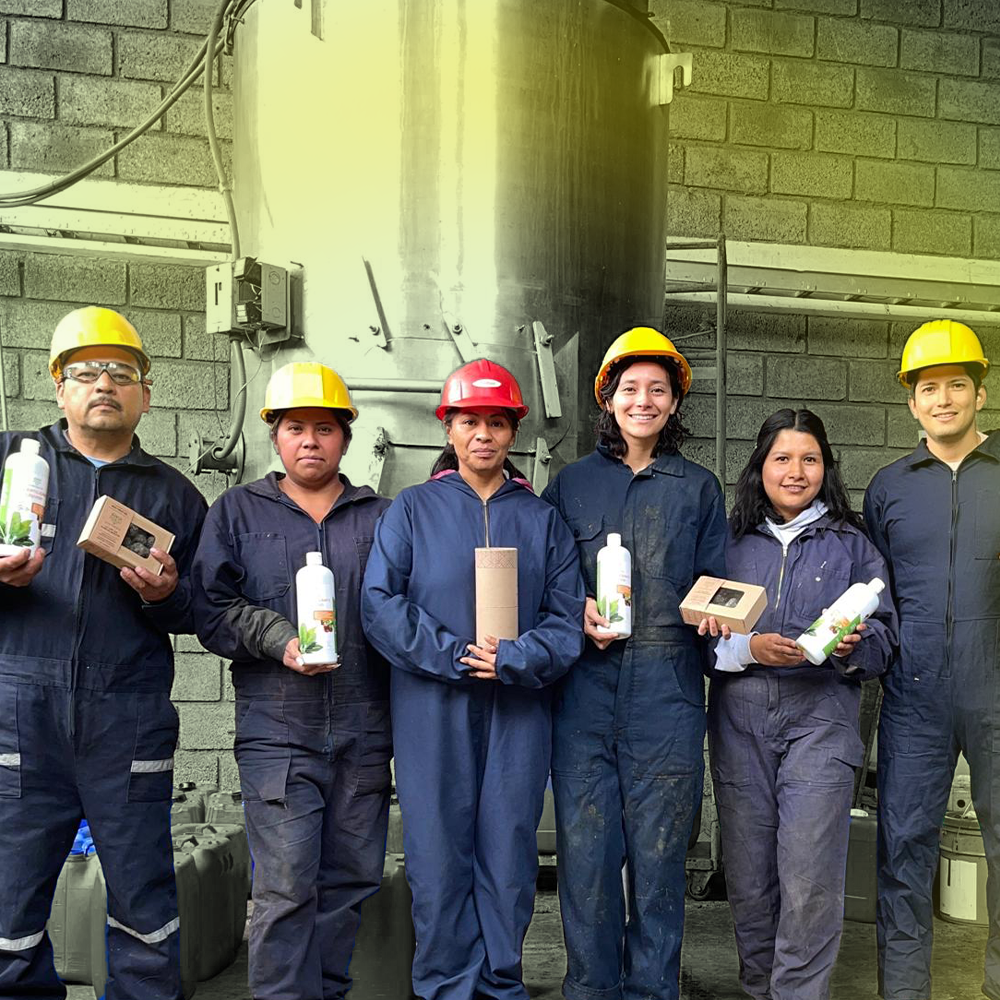 Syntropia: la startup mexicana que convierte residuos orgánicos en bioestimulantes carbono negativo